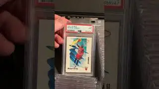 I collect Michael Jordan PSA graded basketball cards #shorts