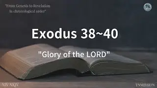 Glory of the Lord, No 31, #Exodus 38-40, Chronological Bible 365 QT