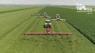 Ziua 6 - Insula Mare a Brăilei, ferma cu cele mai multe superlative