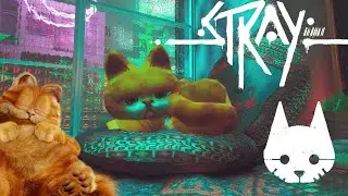 Stray, a Cartoon Garfield Mod exists now