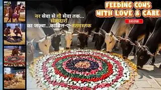 गौसेवा के जरिए जुड़ी मानवता से एक नई डोर | Dera Sacha Sauda | Saint Dr. MSG