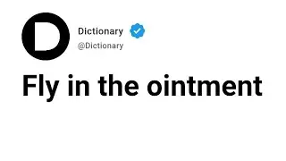 Fly in the ointment Meaning In English