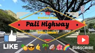 Old Pali Highway  @kaupeepee #lonomusic