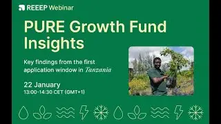 Insights from the Pure Growth Fund
