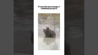 If I were the store manager, I'd definitely let you in.