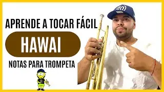 HAW&Aacute;I en Trompeta y Bombo al plato 🎺 Cover | M&uacute;sica de Cancha #maluma #argentina #colombia