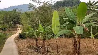 perjalanan di desa cioray leuwi karet bogor