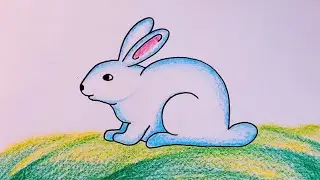 How to Draw Rabbit for Beginners || Rabbit Drawing Colour || Cute Rabbit Drawing Step by Step..