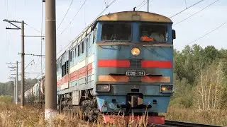 Поезда на перегоне Детково-Усады-Окружные. Гости с разных дорог, одинокая электричка и прочие поезда