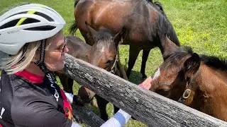 2023 Horsey Hundred