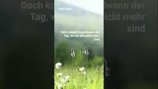 1000 Tränen 