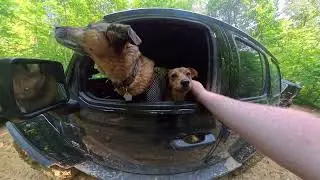 Spaas Creek and Pumpkin Hollow Road Slade KY Offroading