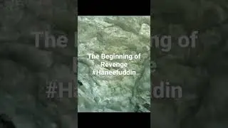The beginning of a legendary revenge #Haneefuddin #shorts