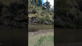 Near Qld-NSW border