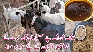 Best Dry food for goats