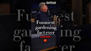 Wait&hellip; Tomatoes Are WHAT?! 🌸🍅😂&rdquo;#TomatoFacts #GardeningTips #FunnyShorts#TomatoFacts #GardeningTips