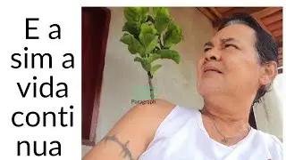 pastor. do mudo Maia.ex.trs. está ao vivo!
