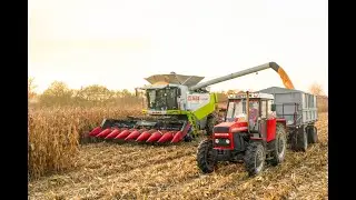 Kukurica na zrno 2019 *FullHD*