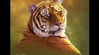 Tigers by Eric Wilson