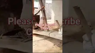 Short #video gaon main sobha Camel work in Village beautiful Morning work