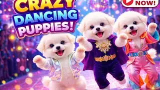 🐶 Cute Puppy Crazy dancing 😆💃 Funny Video for Dogs 🐶🐕 # dog # puppydance # puppyvideos # viraldance 