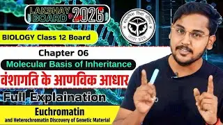 Euchromatin and Heterochromatin | Discovery of Genetic Material | Molecular Basis of Inheritance