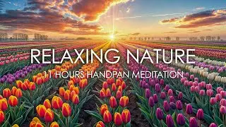 The Strength of Healing Music | 11 Hours Handpan Meditation | Relaxing Hang Drum Music