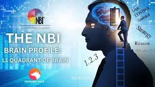 NBI Brain Profile - L 1 Quadrant Explained
