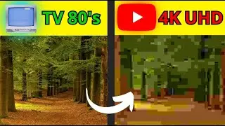 Главная ПРОБЛЕМА 4K, КОТОРОЙ НЕ БЫЛО У АНАЛОГОВОГО ТЕЛЕВИДЕНИЯ