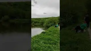 Природа бомба )