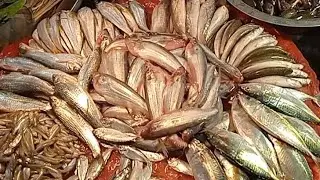 বাজারের খরচ থেকে টাকা জমানোর সহজ উপায়। গরুর মাংস দিয়ে পাতলা খিচুড়ি রান্না করলাম