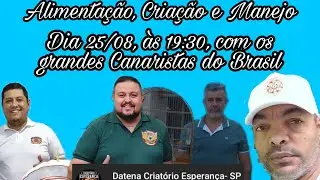 Chamado para Live com os Melhores Canaristas do Brasil - Dia 25/08, &agrave;s 19:30