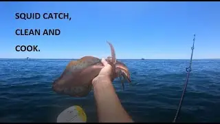 MONSTER SQUID CAUGHT FROM KAYAK (catch,clean cook)