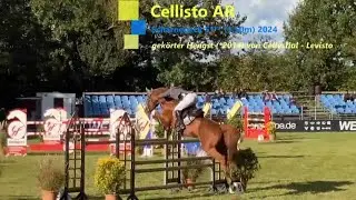 CELLISTO AR IM S*** (1,50m) SCHARNEBECK 2024