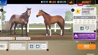 Rival stars: Online race and breeding level 4 horse
