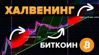 Биткоин Халвенинг (halvening) поднимет цену?