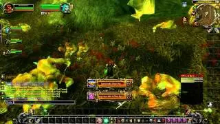 WoW Realm First lvl 1 Twink Timbermaw Exalted