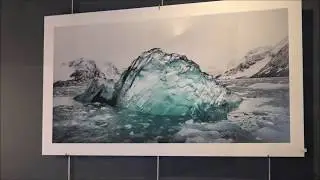 Caroline SCHOENFELDER - PHOT'Aubrac 2018
