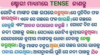 Tense with Story  || Translating Odia Sentences into English || ଷ୍ଟୋରୀ ମାଧ୍ୟମରେ TENSE ଜାଣନ୍ତୁ ##