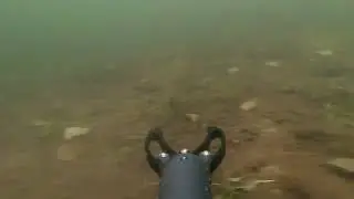 sukellusrobotti