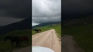 Красивейшая дорога Кабардино-Балкарии через Актопрак. Часть 2. #mountains #beautiful #nature