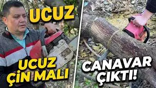Ucuz Çin Motorlu Testere Ağaç Kesmeyi Başarır mı? 🌲 Test Ettik!