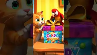 Candy Bonanza 🎁🐱🐹🦜 | Funny Cartoon Animals Open Sweet Treasure