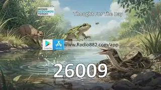 #TFTD Thought For The Day - Frog's Story [26009]
