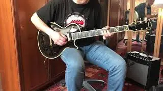 Edwards E-LP 117, Japan
