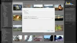 Come usare le raccolte in Lightroom per organizzare le foto