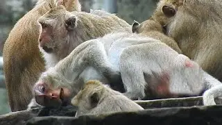 OMG Jane what are you doing? Why try pushing like try giving birth newborn