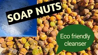 How to use soap nuts(reetha) | soap nuts for everything |