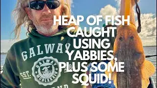 Heaps of fish caught, all on yabbies!