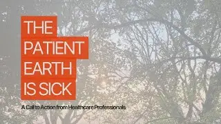 The Patient Earth is Sick: A Call to Action from Healthcare Professionals